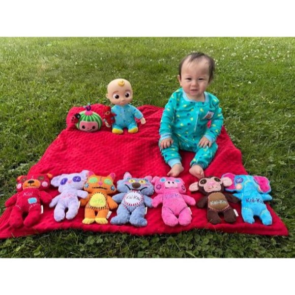 Handmade Cocomelon Wally Wolf Plush Toy 8.5" Tall Personalizable Safe Minky - Picture 6 of 8